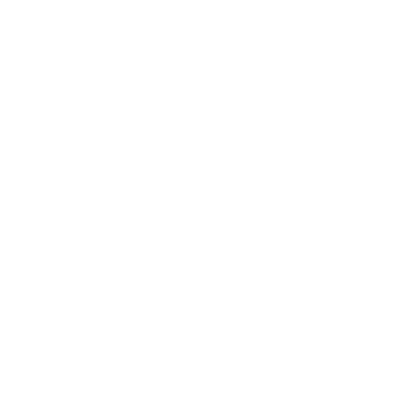 Fiat Certified Repair