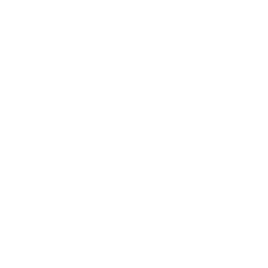 Genesis Certified Repair
