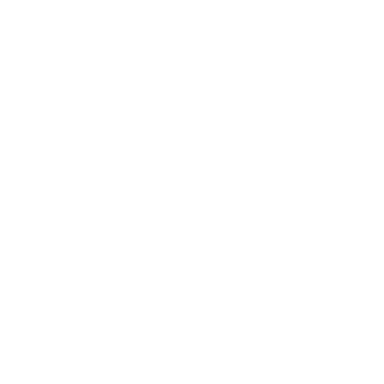 Nissan Certified Repair